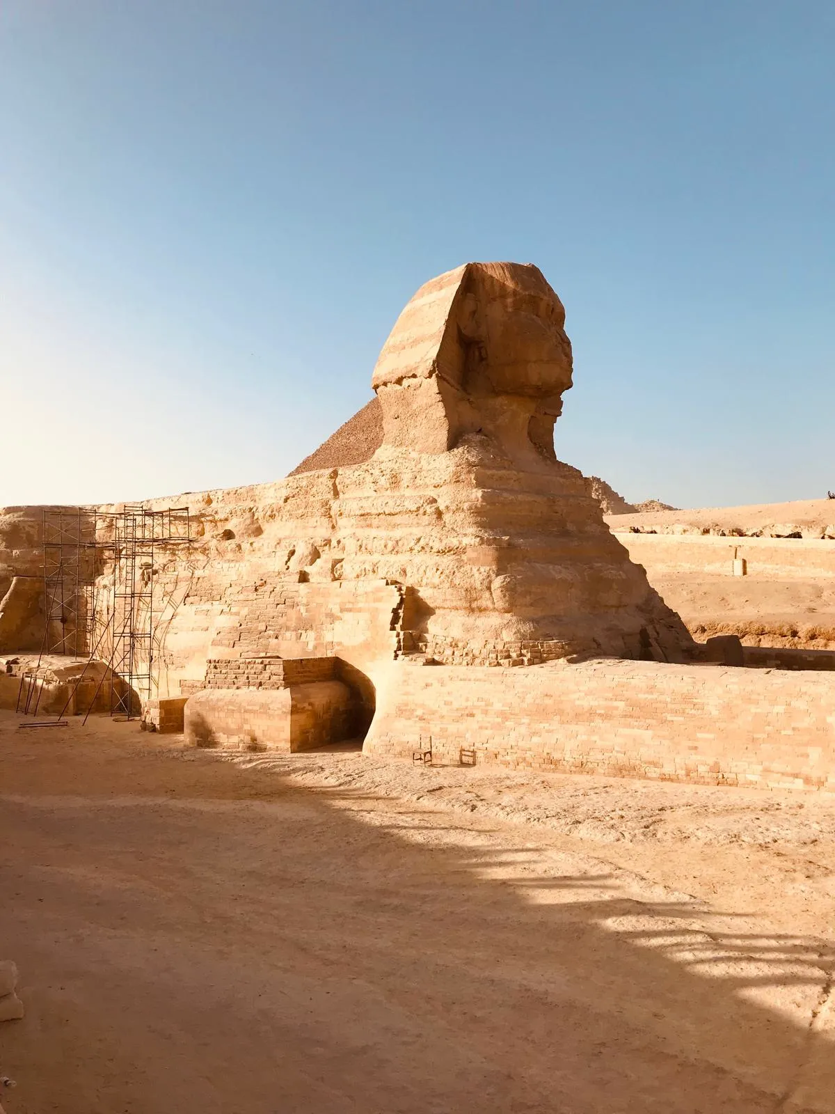 Cairo by Bus + Egyptian Museum, Tahrir — Cairo & Giza