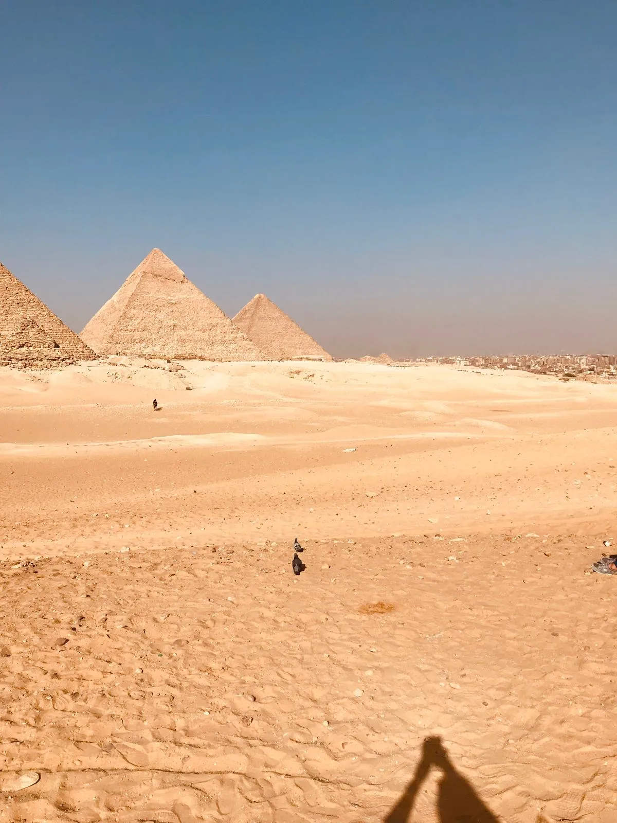 Cairo by Bus + Egyptian Museum, Tahrir — view 6