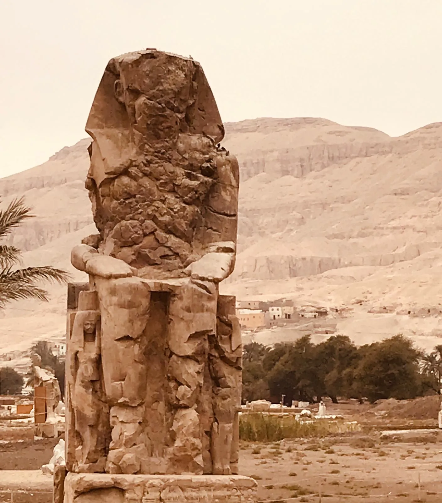 Cairo by Van + Egyptian Museum, Tahrir — Cairo & Giza