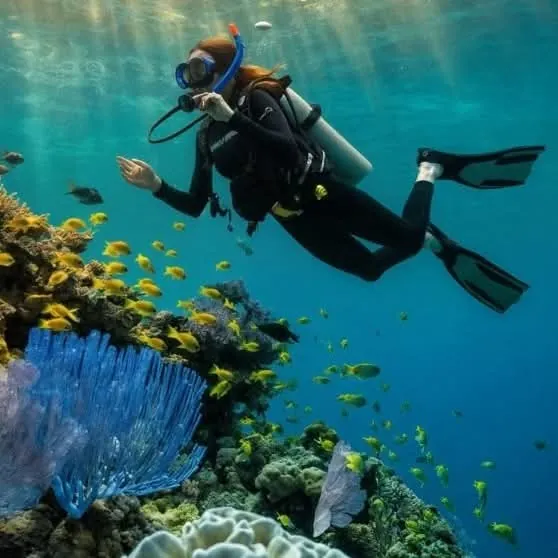 ERDI Diving Course — Hurghada & The Red Sea
