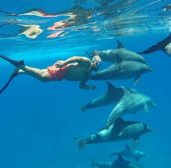 Dolphin House Snorkelling Trip — view 4