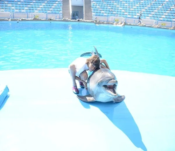 Dolphin Photo Session — Hurghada & The Red Sea