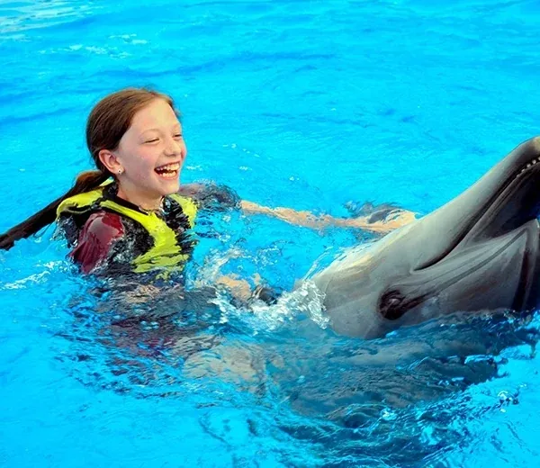 Dolphin Photo Session — view 3