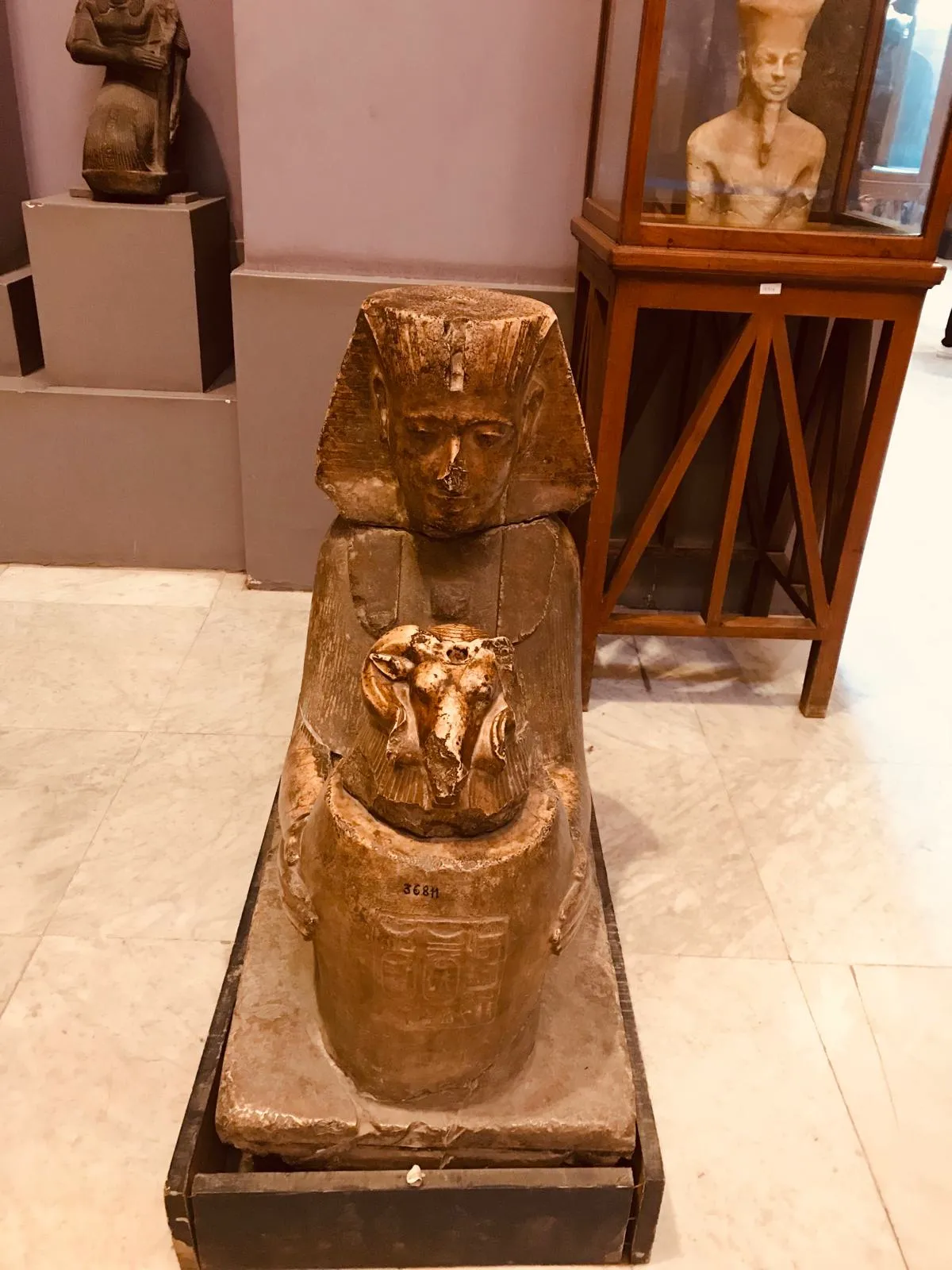 Cairo by Bus + Grand Egyptian Museum — view 2