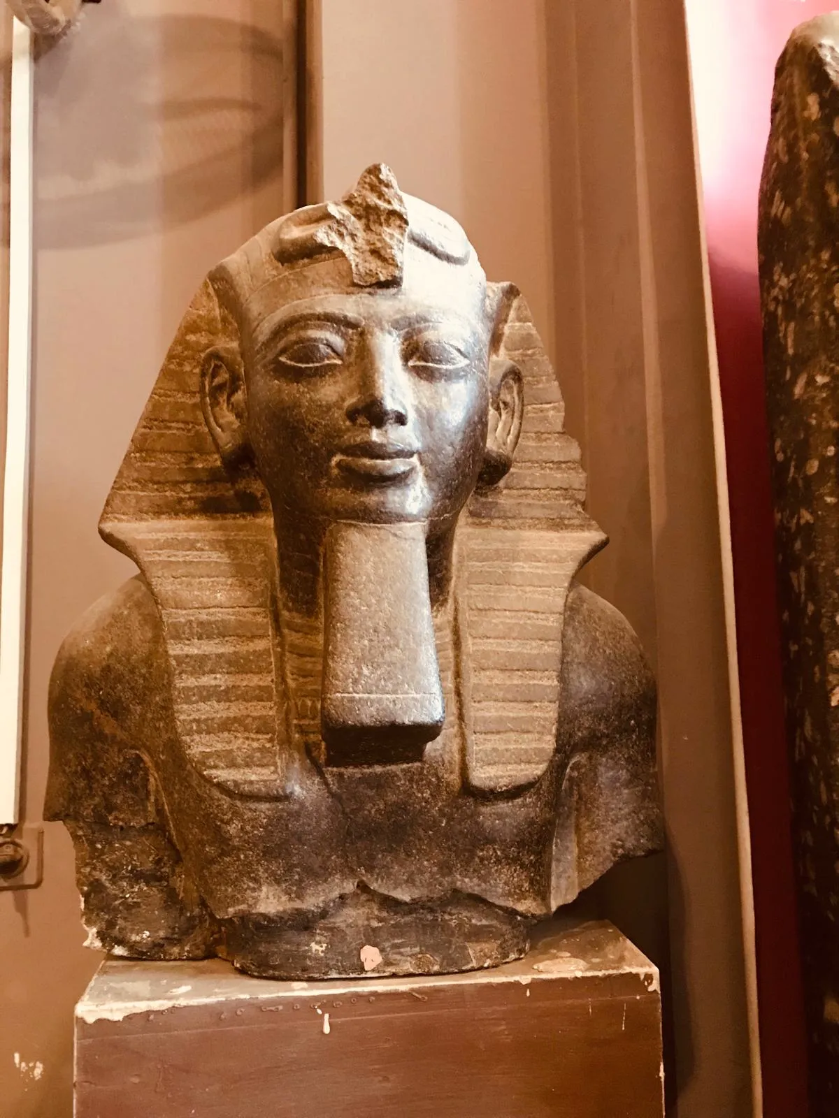 Cairo by Bus + Grand Egyptian Museum — view 6