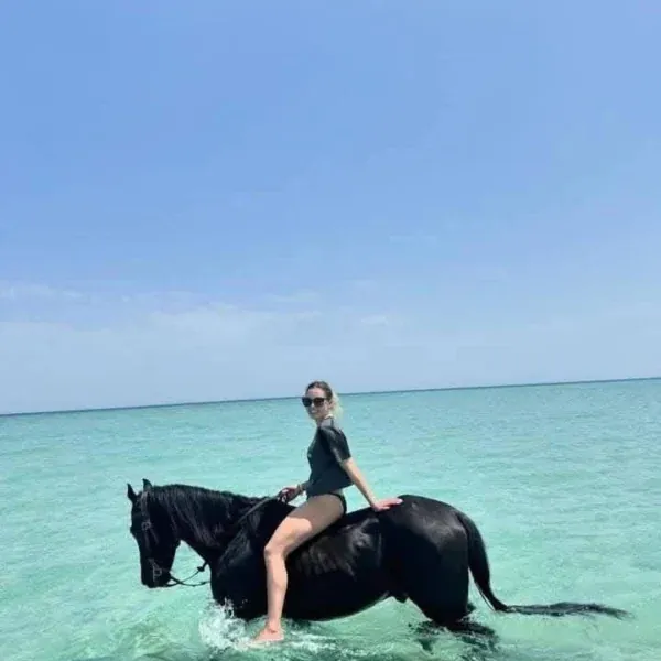 Horse Riding in the Red Sea — view 3