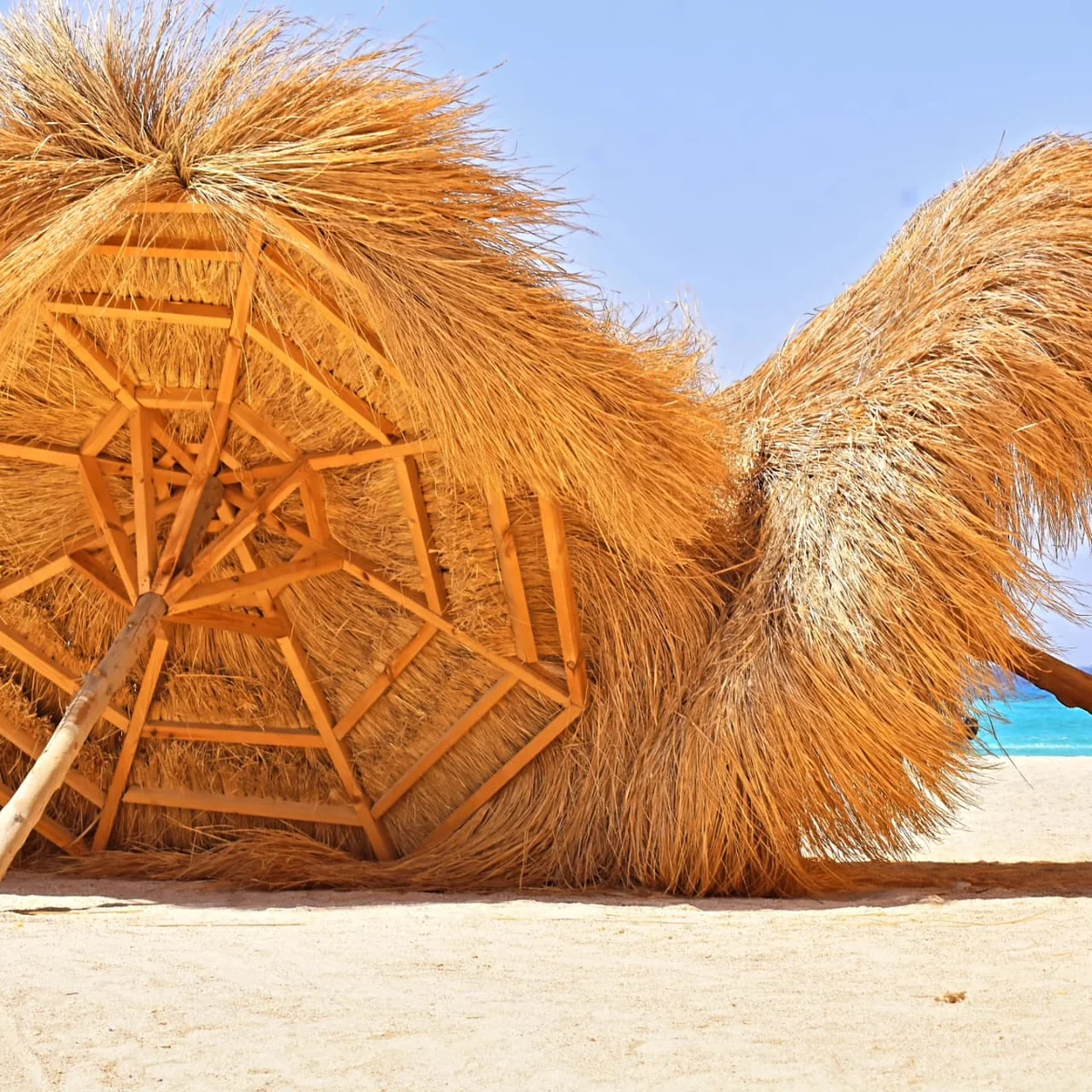 Hula Hula Island Experience — view 2