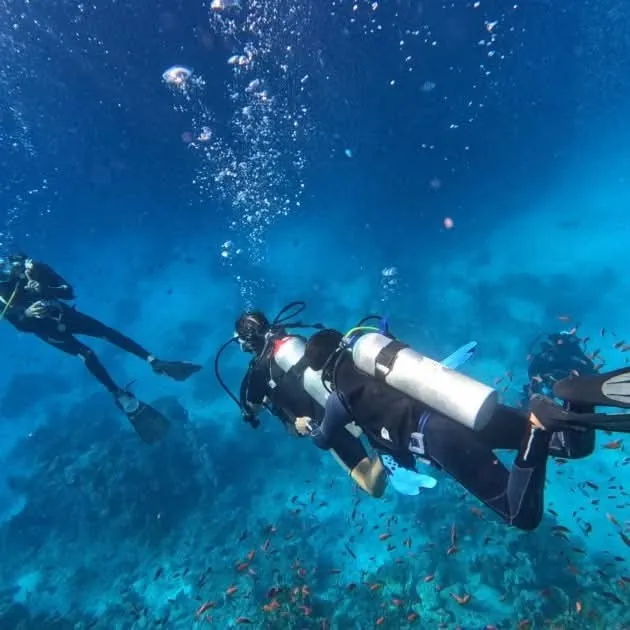 Introductory Diving Experience — view 3
