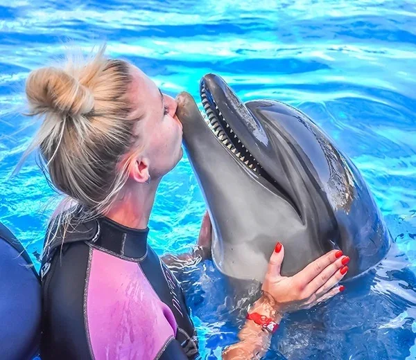 Swimming with Dolphins Experience — Hurghada & The Red Sea