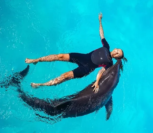 Swimming with Dolphins Experience — view 2
