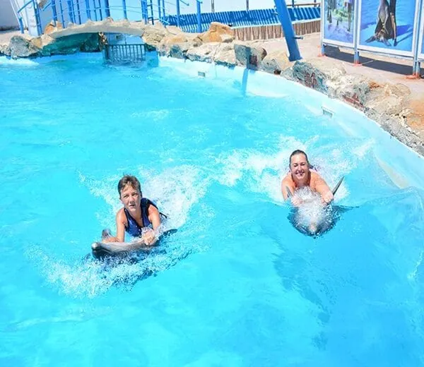Swimming with Dolphins Experience — view 4