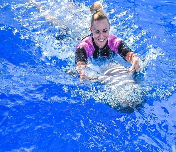 Swimming with Dolphins Experience — view 5